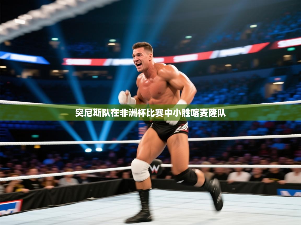 突尼斯队在非洲杯比赛中小胜喀麦隆队