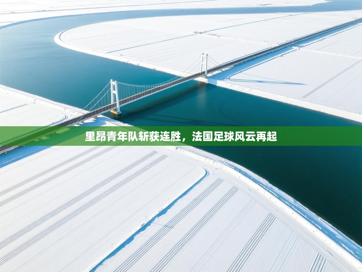 里昂青年队斩获连胜，法国足球风云再起